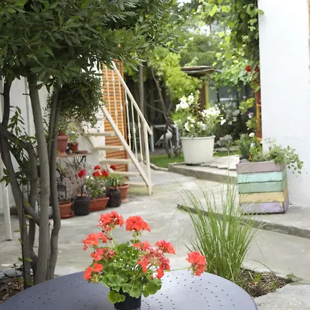 Pensiune Casa Soarelui Eforie Nord